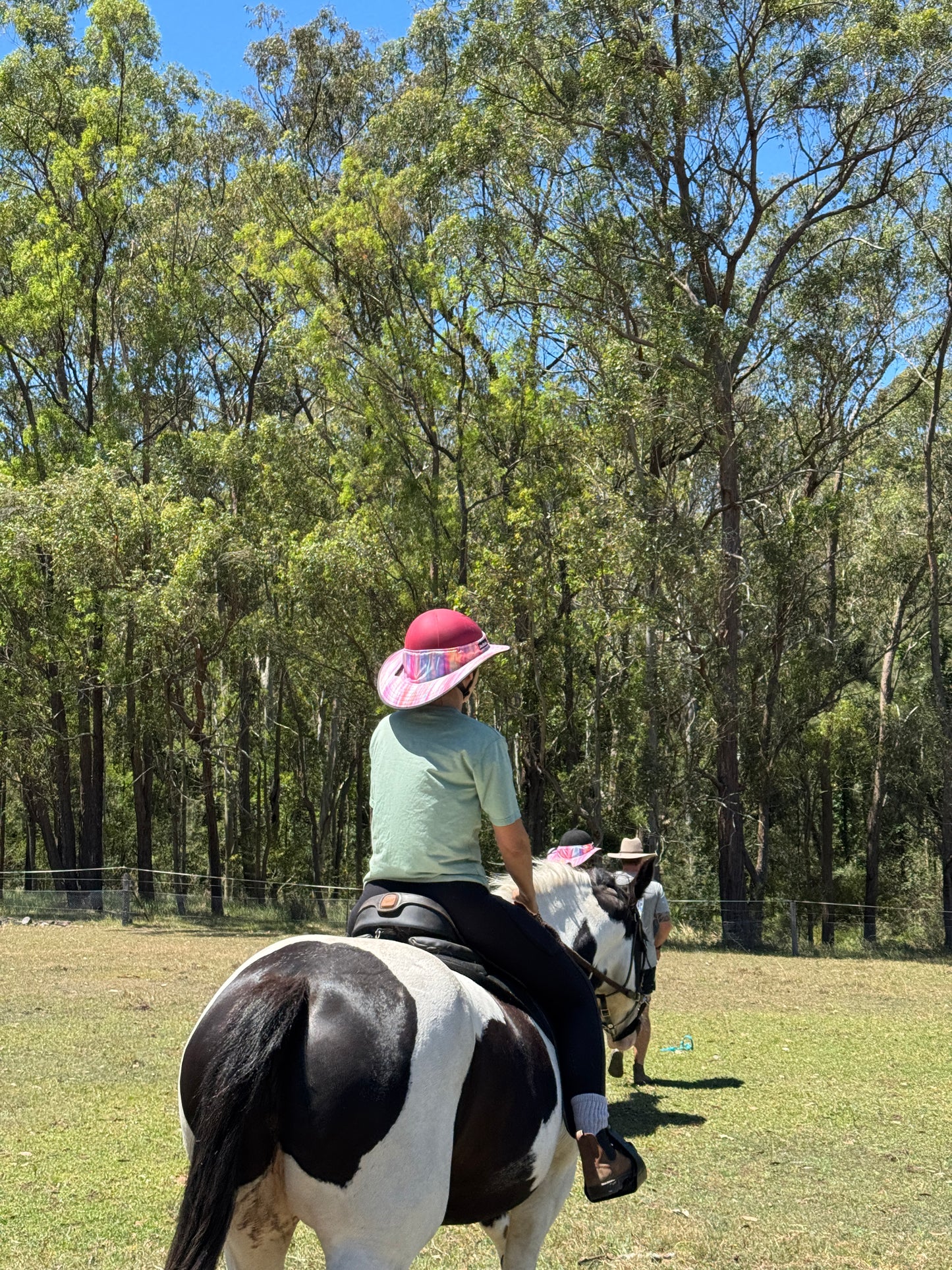 Helmet Brim Equest Petite