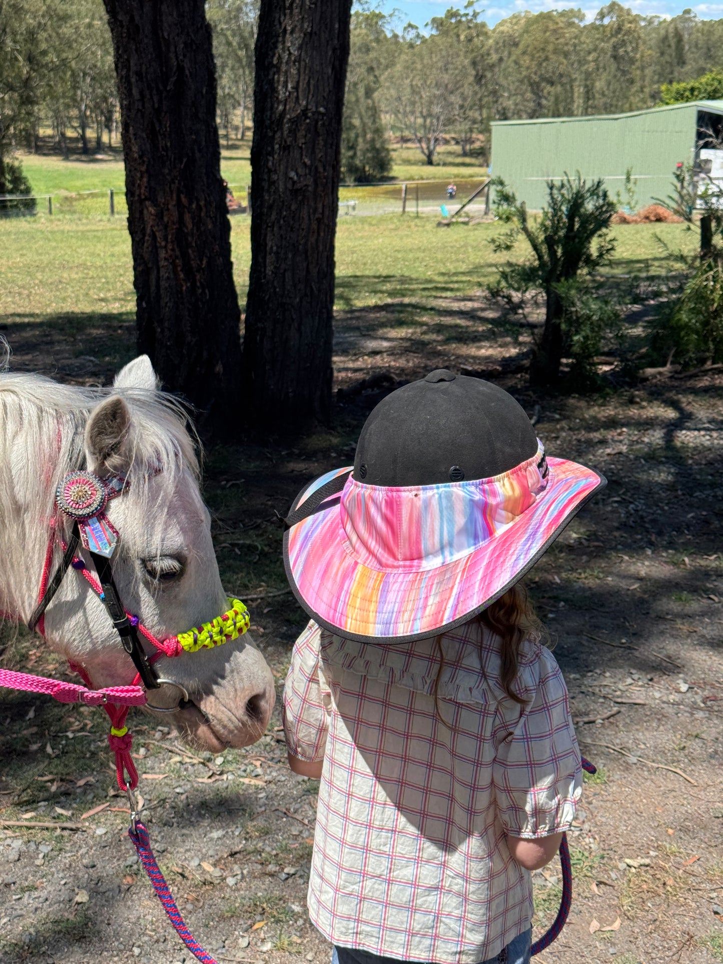 Helmet Brim Equest Petite