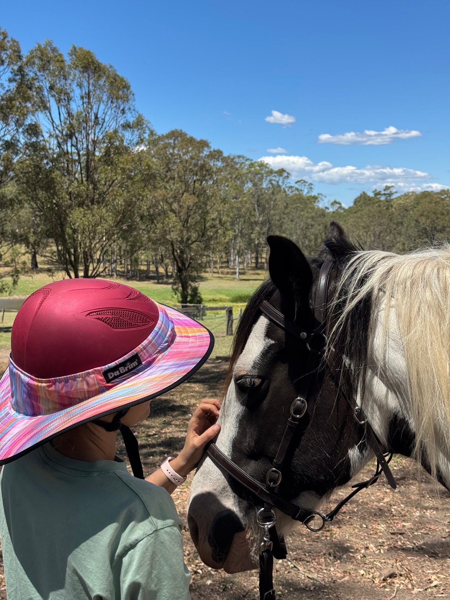 Helmet Brim Equest Petite